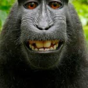 Meet your Posher, Luke